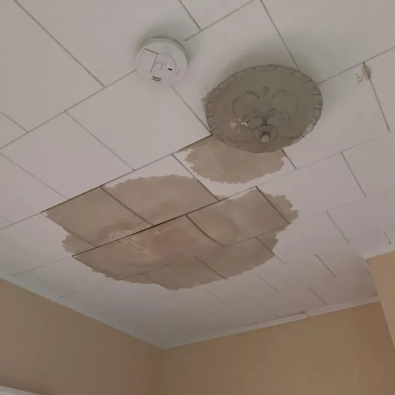 Ceiling Water Damage Repair in Bourbon, IN