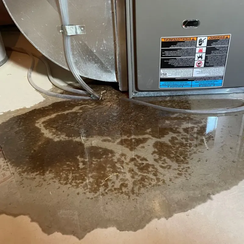 Pipe Burst and Leak Restoration in Bourbon, IN